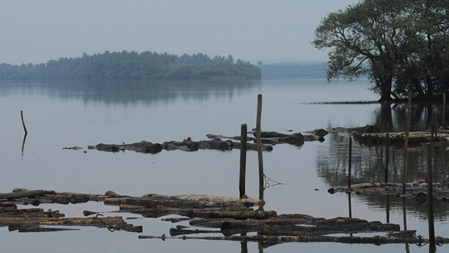 Valapattanam Backwaters Kannur